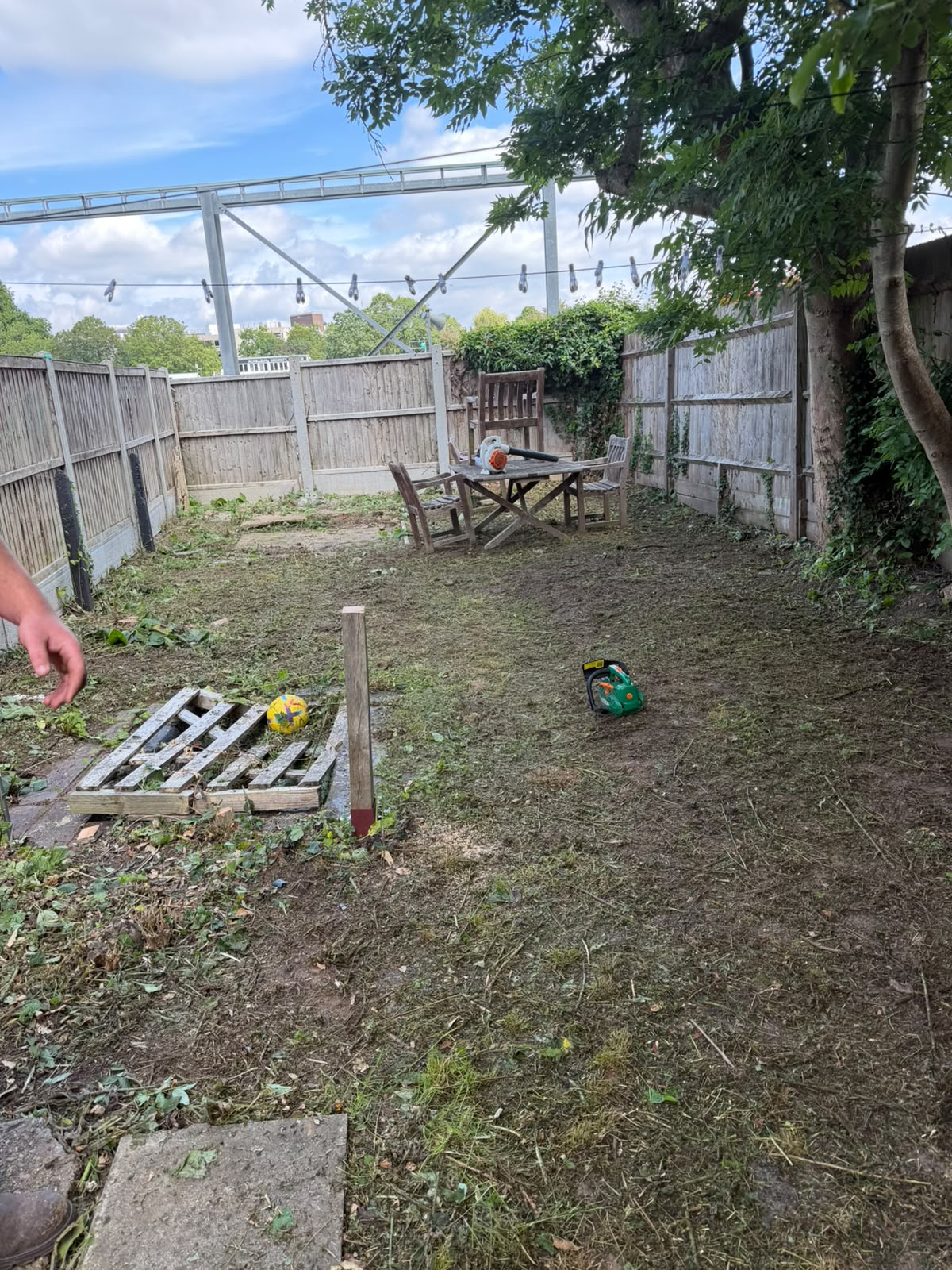 Professional tree surgery equipment