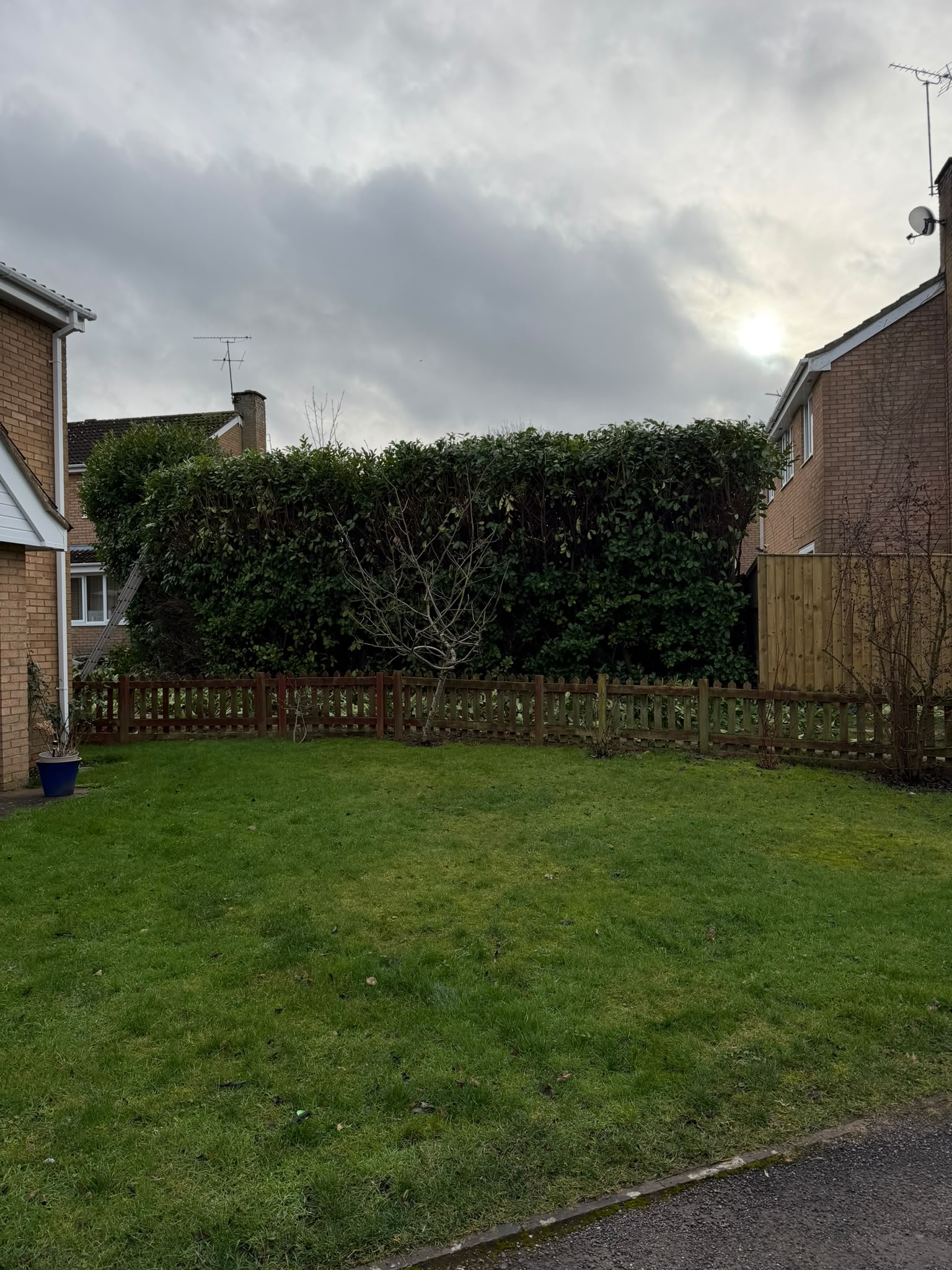 Garden maintenance in progress
