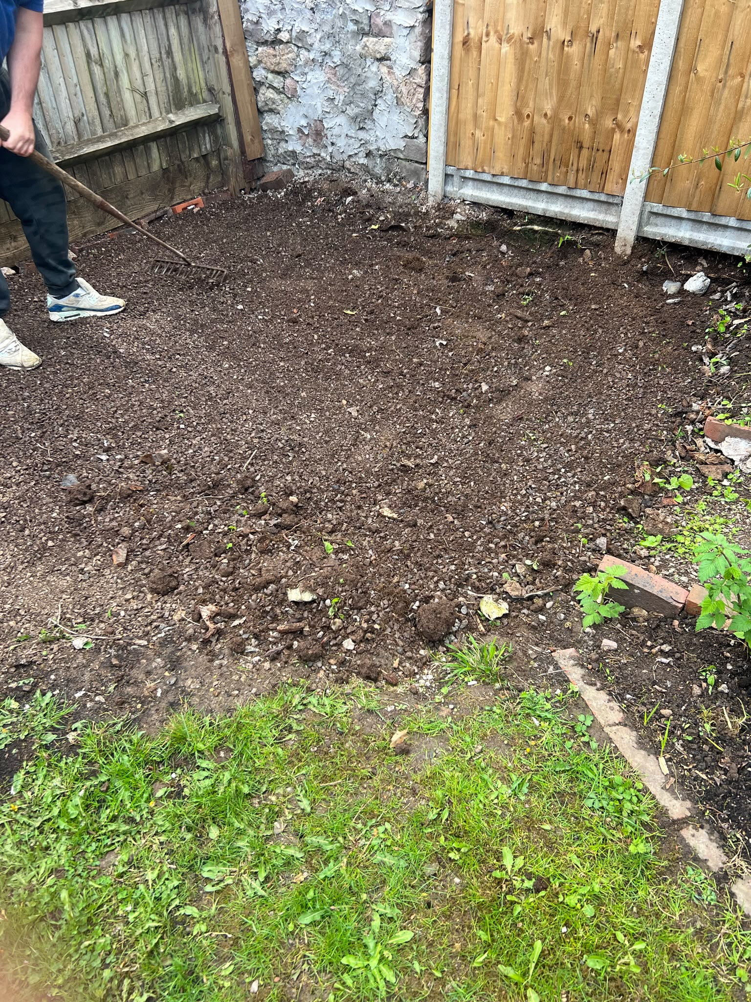 Person raking dark freshly cleared soil in a garden corner bordered by wooden fences and an old stone wall
